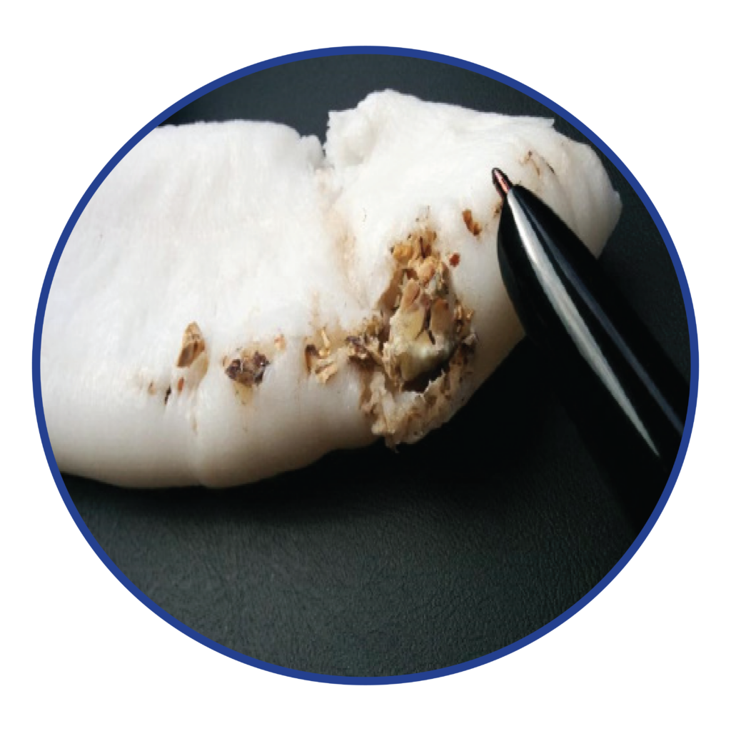 Blue LDPE Natural HDPE purge process