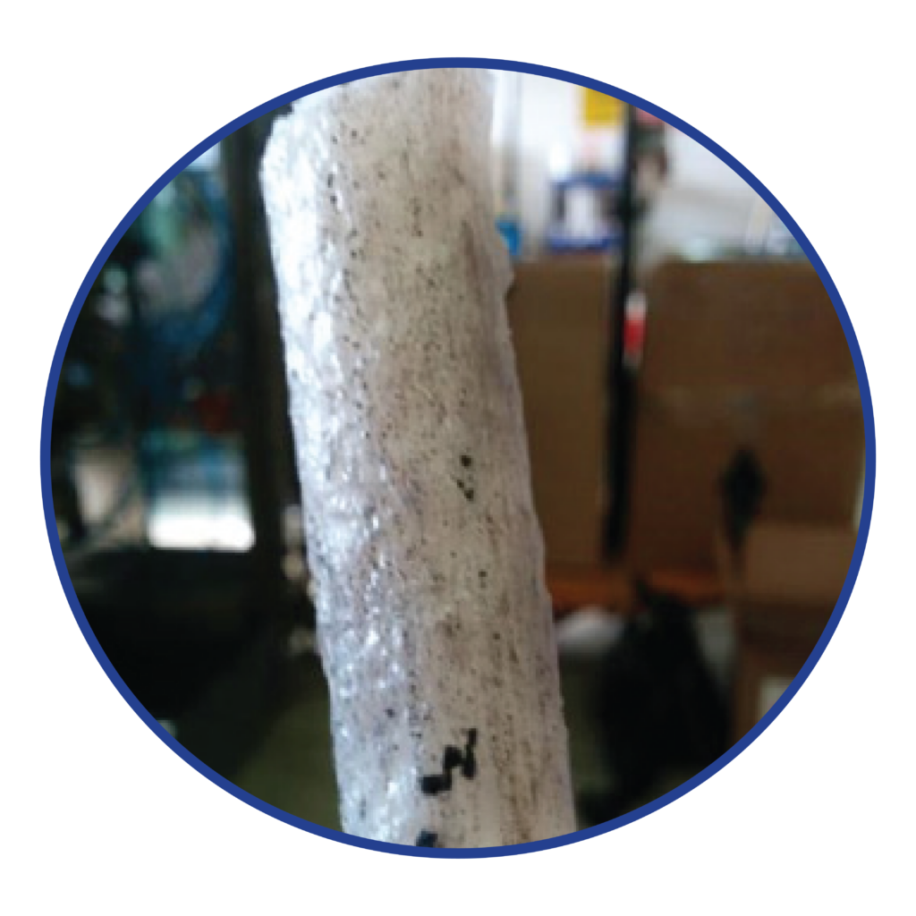 Blue LDPE Natural HDPE purge process