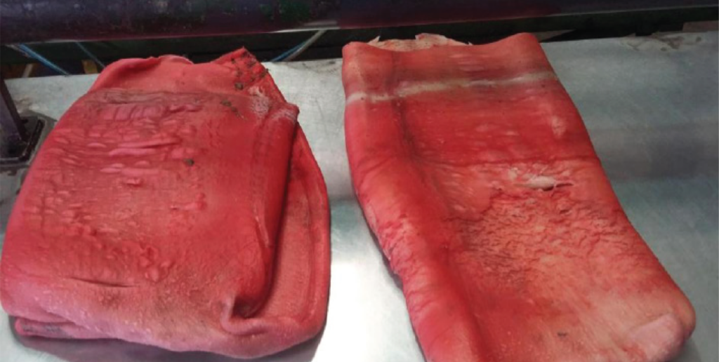 Red HDPE Natural HDPE purge process