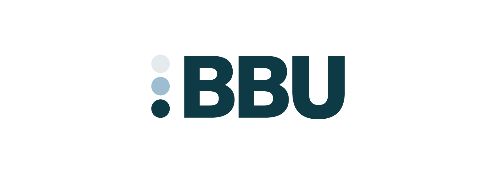 NBBUAP webicons product