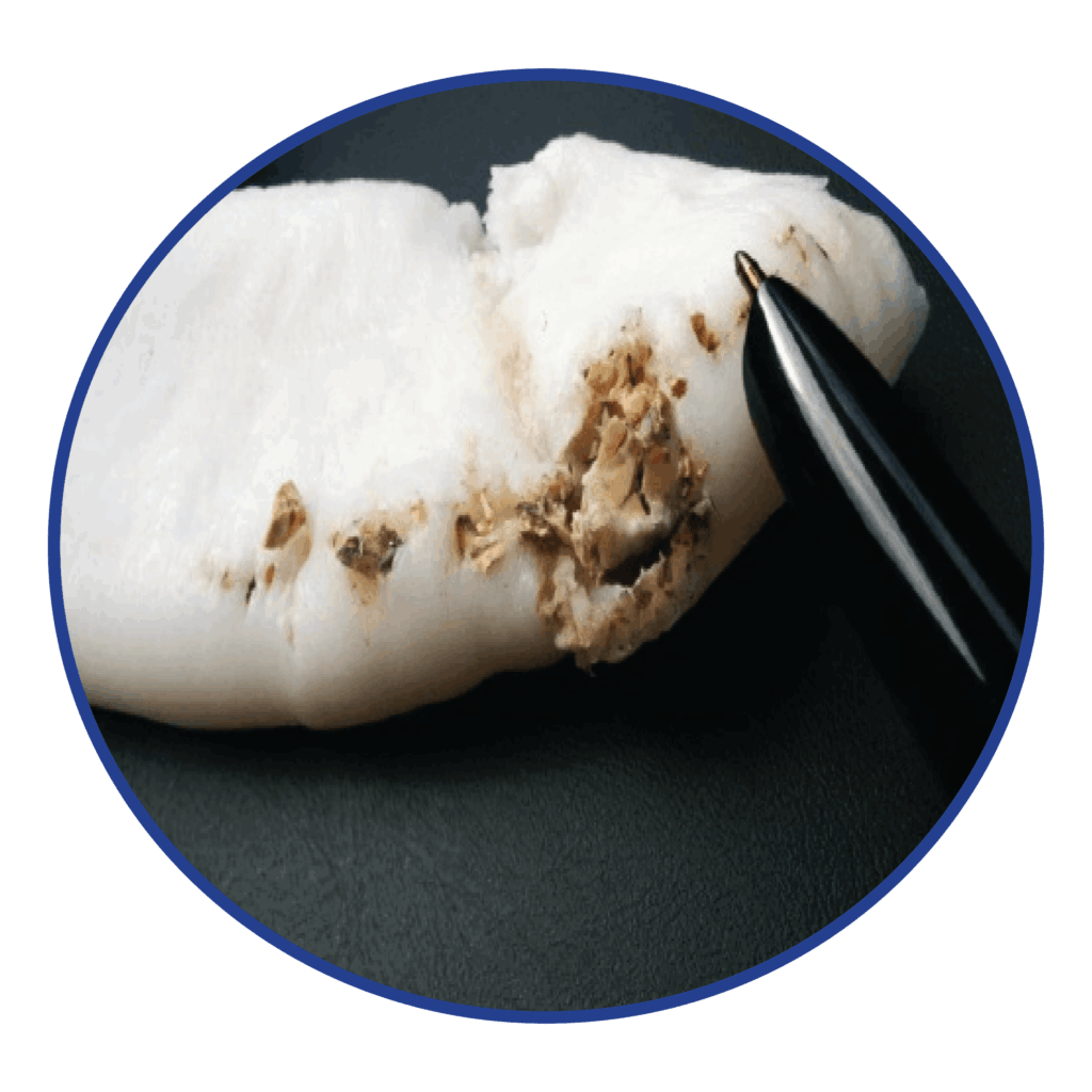Blue LDPE Natural HDPE purge process