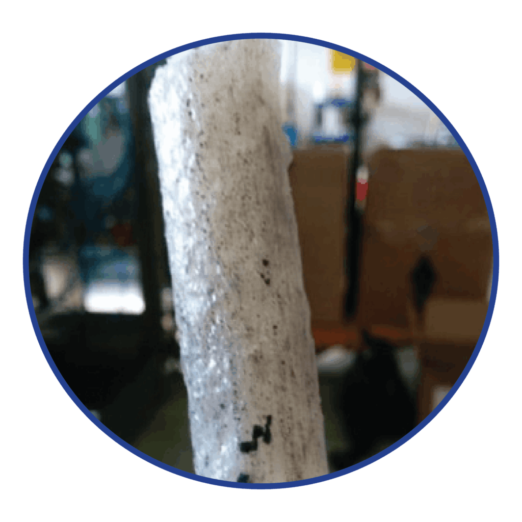 Blue LDPE Natural HDPE purge process