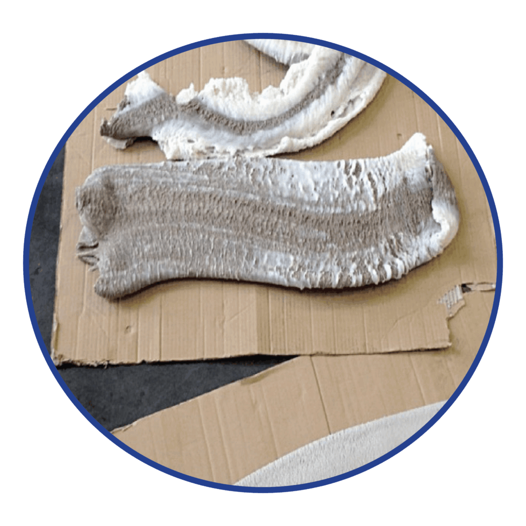 Yellow HDPE Natural HDPE purge process